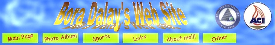 Bora Dalay's Web Site  2001